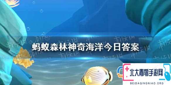 食蟹海豹主要以什么為食 9.3神奇海洋答案最新